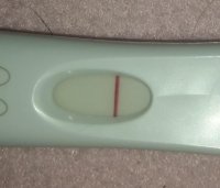 FRER2.jpg