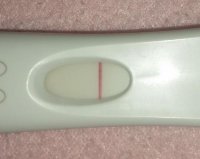 FRER3.jpg