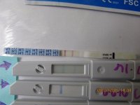 CBFM High and Wondfo Comparison CD9 6.7.16 002 (640x480).jpg