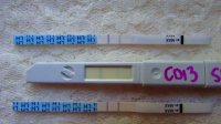 CD13 SMU Wondfo's and CBMS (color enhanced) (640x360).jpg