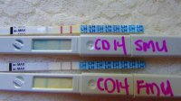 CD14 FMU;SMU Wondfo's and CBMS's Enhanced (640x360).jpg