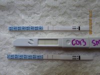 CD13 Wondfo's and CBMS Original (640x480).jpg