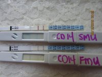 CD14 FMU;SMU Wondfo's and CBMS's Original (640x480).jpg