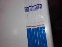 20160620_124122.jpg
