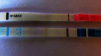 Better pic's of the Clungene Lab Test 7DPO 036 Crappy contrast upload 2.jpg