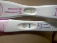 11dpo3-edit.jpg