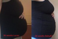 36 week comparison.jpg