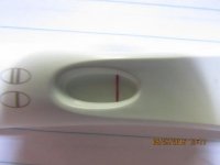 11DPO and 7 and 8 DPO comparison's 016 (640x480).jpg