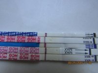 10DPO PM and 11DPO FMU and SMU 033 (640x480).jpg