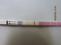 11DPO PM and 12DPO FMU 011 (640x480).jpg