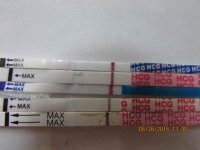 11DPO PM and 12DPO FMU 001 (640x480).jpg