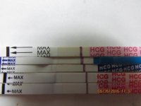 After Dried 12DPO SMU 003 (640x480).jpg