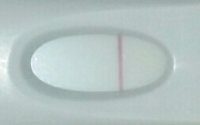 Frer2 11dpo.jpg