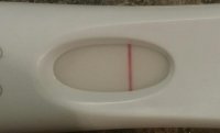 FRER 11dpo.jpg