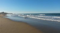 Beach 2016.jpg