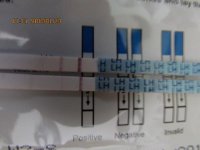 7-18-16 Compare of SMU and FMU Urine Samples Tests on Wondfo LH 009 (640x480).jpg