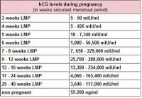 hcg-levels-during-pregnancy-and-what-they-mean.jpg