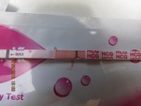 Blood Test 8dpo 033 (640x480).jpg