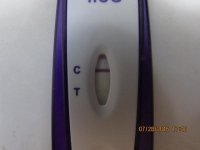 Dollar Store Test 8dpo 002 (640x480).jpg