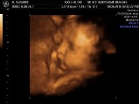Baby01.jpg