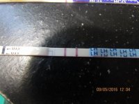 Positive Wondfo 9.5.16 010 (640x480).jpg