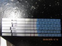Progression on Wondfo's 9.3-9.5 2016 011 (640x480).jpg