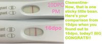 Clementine's 10-16 compare.jpg