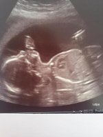 21wks1.jpg