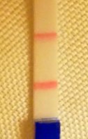 20160917_182844.jpg