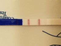 20160918_002644.jpg