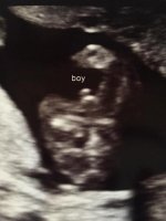 boy.jpg