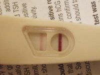 20161004_050223.jpg