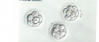 3 trans embryos jpg crop.jpg