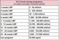 Beta-HCG-Levels-in-Early-Pregnancy.jpg