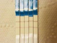 opk 10 18 16.jpg