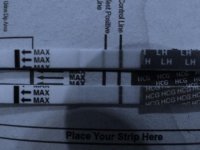 12DPO LIVE PT TEST W-BFP BRAND LH AND PT VIDEO PLUS PICS FOR BNB 004 (640x480).jpg