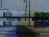 12DPO LIVE PT TEST W-BFP BRAND LH AND PT VIDEO PLUS PICS FOR BNB 004 (640x480) (2).jpg