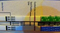 12DPO LIVE PT TEST W-BFP BRAND LH AND PT VIDEO PLUS PICS FOR BNB 017 (640x360).jpg
