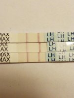 opk 10 20 16.jpg