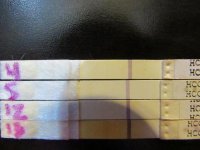 13DPO Comparison of ICON25's PT's 029 (640x480).jpg