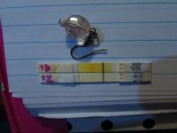 13DPO Comparison of ICON25's PT's 054 (640x480).jpg
