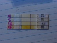 Better Shot of 13DPO ICON's 001 (640x480).jpg