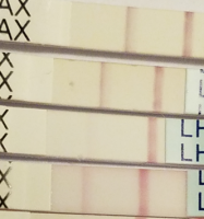 opk 10 21.png