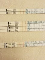 20161027_121340.jpg