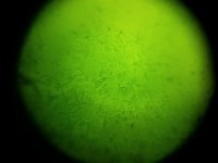 20161027_104553.jpg