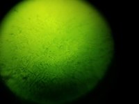 20161027_102409.jpg