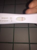 10dpo FRER.jpg