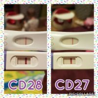 Collage 2016-12-03 07_20_43_opt.jpg