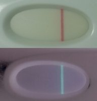 10dpo.jpg