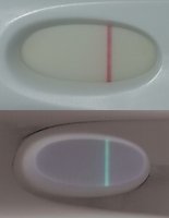 14dpo.jpg